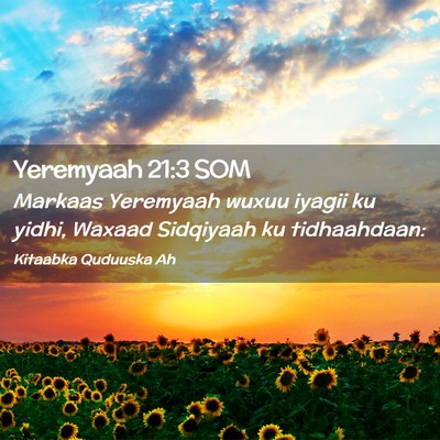 Picture 02 - Yeremyaah 21:3 SOM - Markaas Yeremyaah wuxuu iyagii ku yidhi, Waxaad - Bible Verse Picture
