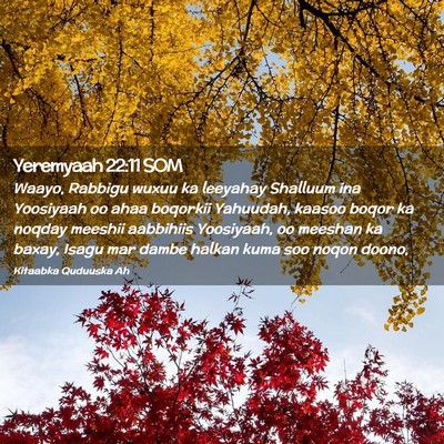 Picture 02 - Yeremyaah 22:11 SOM - Waayo, Rabbigu wuxuu ka leeyahay Shalluum ina - Bible Verse Picture