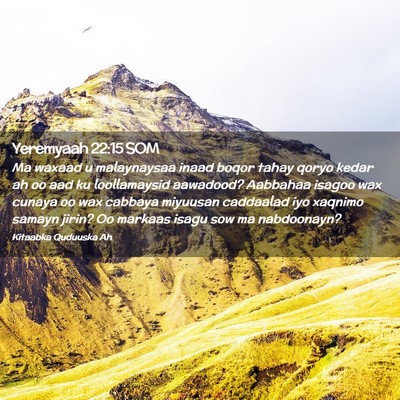 Picture 02 - Yeremyaah 22:15 SOM - Ma waxaad u malaynaysaa inaad boqor tahay qoryo - Bible Verse Picture