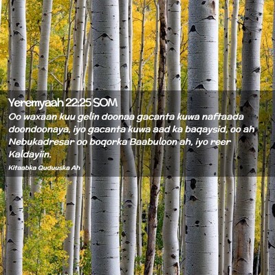 Picture 02 - Yeremyaah 22:25 SOM - Oo waxaan kuu gelin doonaa gacanta kuwa naftaada - Bible Verse Picture