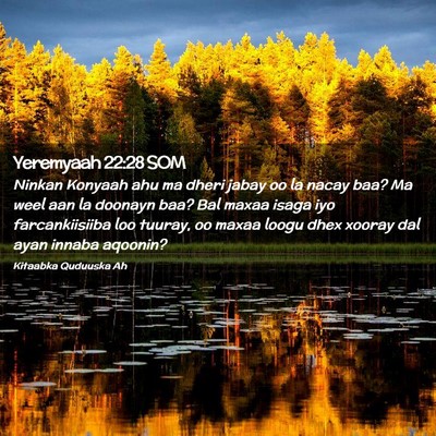 Picture 02 - Yeremyaah 22:28 SOM - Ninkan Konyaah ahu ma dheri jabay oo la nacay - Bible Verse Picture