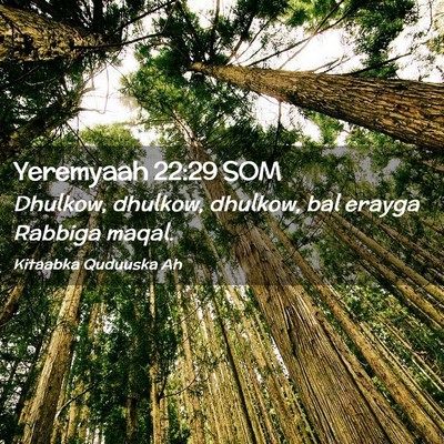 Picture 02 - Yeremyaah 22:29 SOM - Dhulkow, dhulkow, dhulkow, bal erayga Rabbiga - Bible Verse Picture