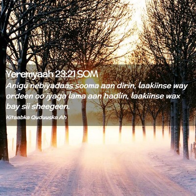 Picture 02 - Yeremyaah 23:21 SOM - Anigu nebiyadaas sooma aan dirin, laakiinse way - Bible Verse Picture