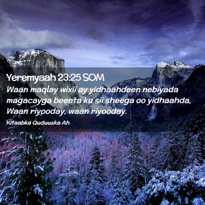 Picture 02 - Yeremyaah 23:25 SOM - Waan maqlay wixii ay yidhaahdeen nebiyada - Bible Verse Picture