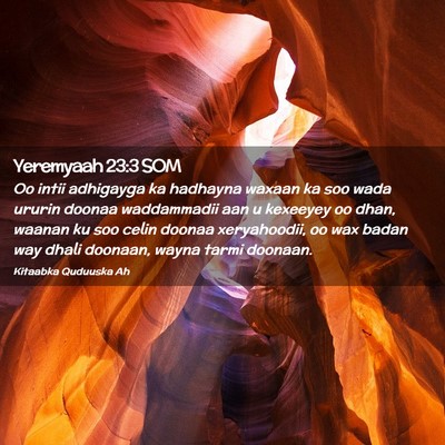 Picture 02 - Yeremyaah 23:3 SOM - Oo intii adhigayga ka hadhayna waxaan ka soo wada - Bible Verse Picture