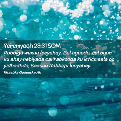 Picture 02 - Yeremyaah 23:31 SOM - Rabbigu wuxuu leeyahay, Bal ogaada, col baan ku - Bible Verse Picture
