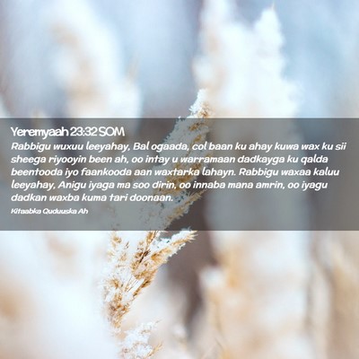 Picture 02 - Yeremyaah 23:32 SOM - Rabbigu wuxuu leeyahay, Bal ogaada, col baan ku - Bible Verse Picture