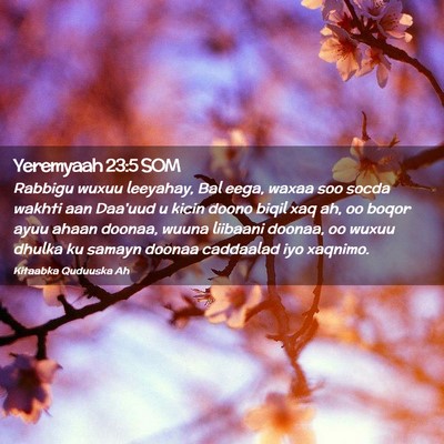 Picture 02 - Yeremyaah 23:5 SOM - Rabbigu wuxuu leeyahay, Bal eega, waxaa soo socda - Bible Verse Picture