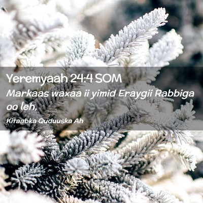 Picture 02 - Yeremyaah 24:4 SOM - Markaas waxaa ii yimid Eraygii Rabbiga oo - Bible Verse Picture