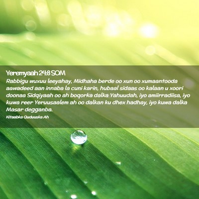 Picture 02 - Yeremyaah 24:8 SOM - Rabbigu wuxuu leeyahay, Midhaha berde oo xun oo - Bible Verse Picture