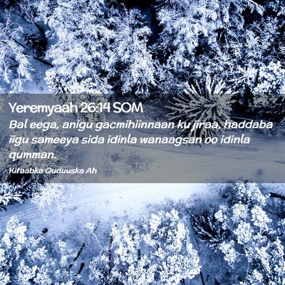 Picture 02 - Yeremyaah 26:14 SOM - Bal eega, anigu gacmihiinnaan ku jiraa, haddaba - Bible Verse Picture