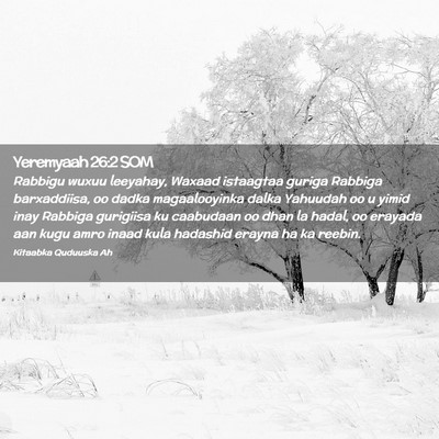 Picture 02 - Yeremyaah 26:2 SOM - Rabbigu wuxuu leeyahay, Waxaad istaagtaa guriga - Bible Verse Picture