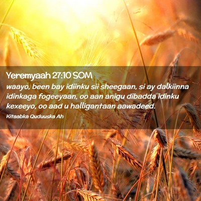Picture 02 - Yeremyaah 27:10 SOM - waayo, been bay idiinku sii sheegaan, si ay - Bible Verse Picture