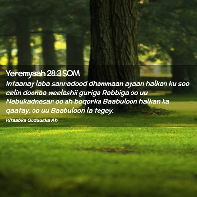Picture 02 - Yeremyaah 28:3 SOM - Intaanay laba sannadood dhammaan ayaan halkan ku - Bible Verse Picture