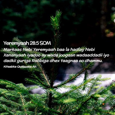 Picture 02 - Yeremyaah 28:5 SOM - Markaas Nebi Yeremyaah baa la hadlay Nebi - Bible Verse Picture