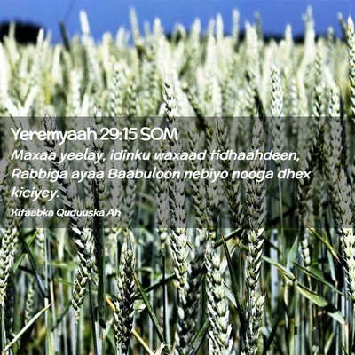 Picture 02 - Yeremyaah 29:15 SOM - Maxaa yeelay, idinku waxaad tidhaahdeen, Rabbiga - Bible Verse Picture
