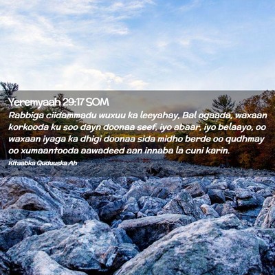 Picture 02 - Yeremyaah 29:17 SOM - Rabbiga ciidammadu wuxuu ka leeyahay, Bal ogaada, - Bible Verse Picture