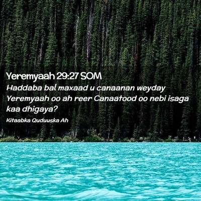 Picture 02 - Yeremyaah 29:27 SOM - Haddaba bal maxaad u canaanan weyday Yeremyaah oo - Bible Verse Picture