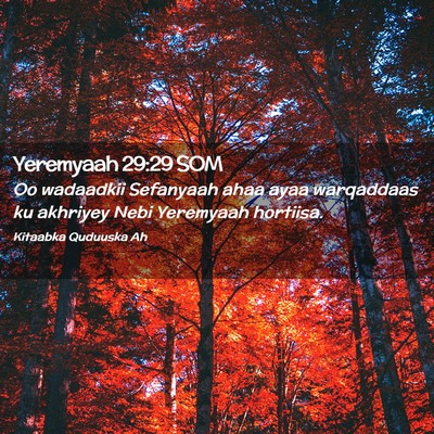 Picture 02 - Yeremyaah 29:29 SOM - Oo wadaadkii Sefanyaah ahaa ayaa warqaddaas ku - Bible Verse Picture