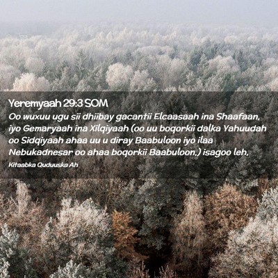 Picture 02 - Yeremyaah 29:3 SOM - Oo wuxuu ugu sii dhiibay gacantii Elcaasaah ina - Bible Verse Picture