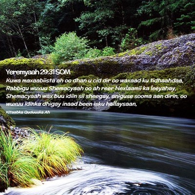Picture 02 - Yeremyaah 29:31 SOM - Kuwa maxaabiista ah oo dhan u cid dir oo waxaad - Bible Verse Picture