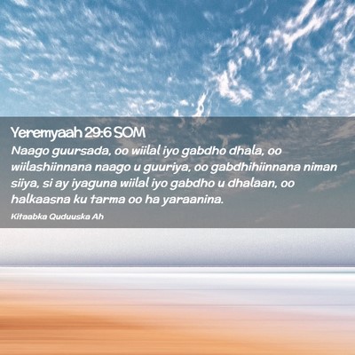 Picture 02 - Yeremyaah 29:6 SOM - Naago guursada, oo wiilal iyo gabdho dhala, oo - Bible Verse Picture