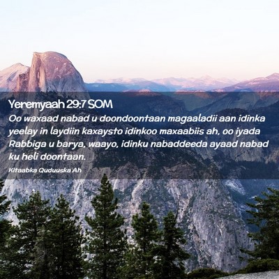 Picture 02 - Yeremyaah 29:7 SOM - Oo waxaad nabad u doondoontaan magaaladii aan - Bible Verse Picture