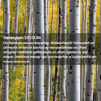 Picture 02 - Yeremyaah 3:10 SOM - Oo Rabbigu wuxuu leeyahay, Walaasheedii Yahuudah - Bible Verse Picture