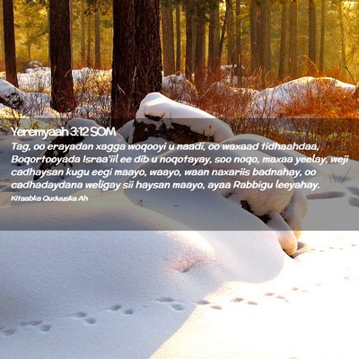 Picture 02 - Yeremyaah 3:12 SOM - Tag, oo erayadan xagga woqooyi u naadi, oo waxaad - Bible Verse Picture