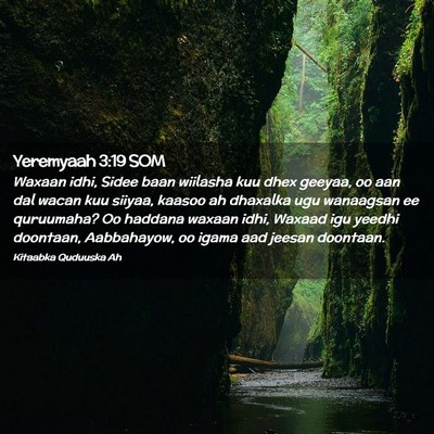 Picture 02 - Yeremyaah 3:19 SOM - Waxaan idhi, Sidee baan wiilasha kuu dhex geeyaa, - Bible Verse Picture