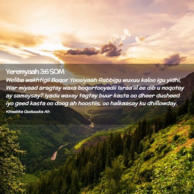Picture 02 - Yeremyaah 3:6 SOM - Weliba wakhtigii Boqor Yoosiyaah Rabbigu wuxuu - Bible Verse Picture