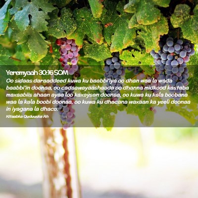Picture 02 - Yeremyaah 30:16 SOM - Oo sidaas daraaddeed kuwa ku baabbi'iya oo dhan - Bible Verse Picture