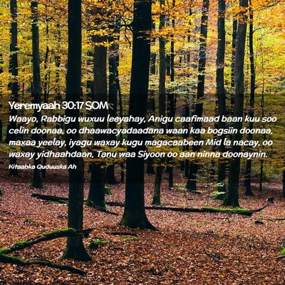 Picture 02 - Yeremyaah 30:17 SOM - Waayo, Rabbigu wuxuu leeyahay, Anigu caafimaad - Bible Verse Picture
