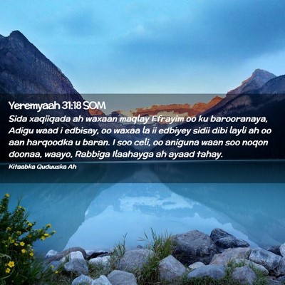 Picture 02 - Yeremyaah 31:18 SOM - Sida xaqiiqada ah waxaan maqlay Efrayim oo ku - Bible Verse Picture