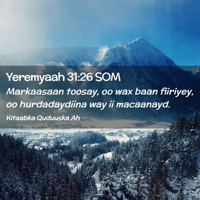 Picture 02 - Yeremyaah 31:26 SOM - Markaasaan toosay, oo wax baan fiiriyey, oo - Bible Verse Picture