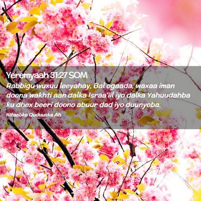 Picture 02 - Yeremyaah 31:27 SOM - Rabbigu wuxuu leeyahay, Bal ogaada, waxaa iman - Bible Verse Picture