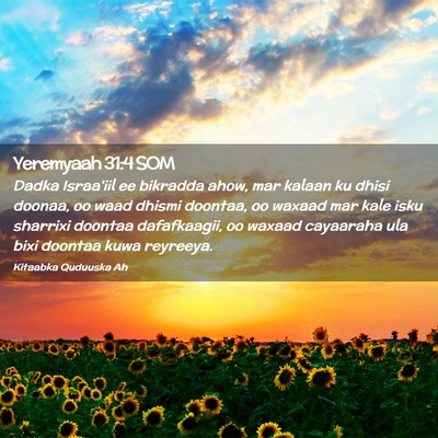 Picture 02 - Yeremyaah 31:4 SOM - Dadka Israa'iil ee bikradda ahow, mar kalaan ku - Bible Verse Picture