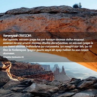 Picture 02 - Yeremyaah 31:8 SOM - Bal ogaada, waxaan iyaga ka soo kaxayn doonaa - Bible Verse Picture