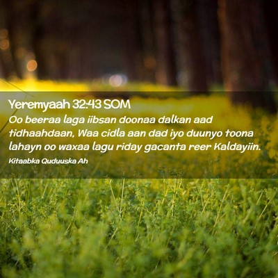 Picture 02 - Yeremyaah 32:43 SOM - Oo beeraa laga iibsan doonaa dalkan aad - Bible Verse Picture