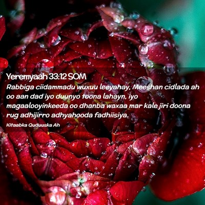 Picture 02 - Yeremyaah 33:12 SOM - Rabbiga ciidammadu wuxuu leeyahay, Meeshan - Bible Verse Picture