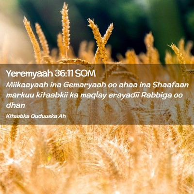 Picture 02 - Yeremyaah 36:11 SOM - Miikaayaah ina Gemaryaah oo ahaa ina Shaafaan - Bible Verse Picture