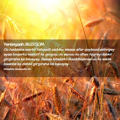 Picture 02 - Yeremyaah 36:23 SOM - Oo haddaba markii Yehuudii saddex amase afar - Bible Verse Picture