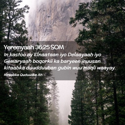Picture 02 - Yeremyaah 36:25 SOM - In kastoo ay Elnaataan iyo Delaayaah iyo - Bible Verse Picture