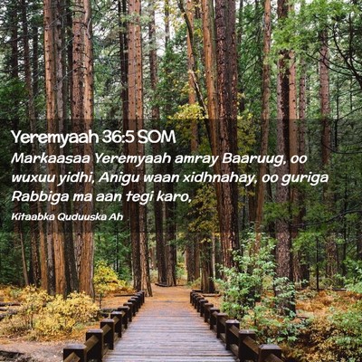 Picture 02 - Yeremyaah 36:5 SOM - Markaasaa Yeremyaah amray Baaruug, oo wuxuu - Bible Verse Picture