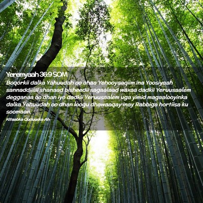 Picture 02 - Yeremyaah 36:9 SOM - Boqorkii dalka Yahuudah oo ahaa Yehooyaaqiim ina - Bible Verse Picture