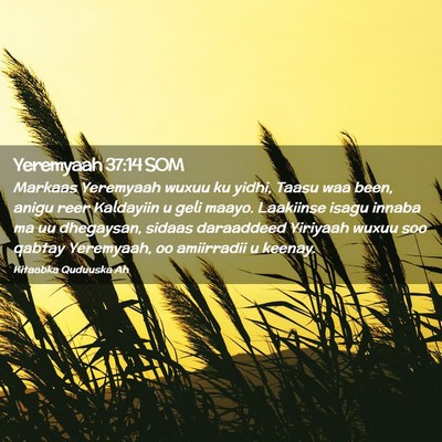 Picture 02 - Yeremyaah 37:14 SOM - Markaas Yeremyaah wuxuu ku yidhi, Taasu waa been, - Bible Verse Picture