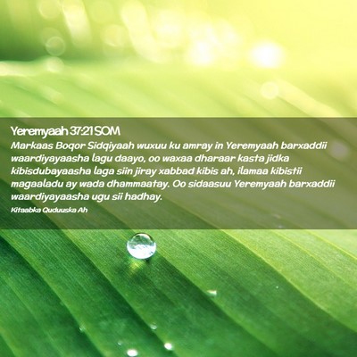 Picture 02 - Yeremyaah 37:21 SOM - Markaas Boqor Sidqiyaah wuxuu ku amray in - Bible Verse Picture