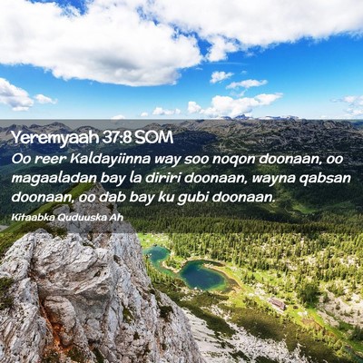Picture 02 - Yeremyaah 37:8 SOM - Oo reer Kaldayiinna way soo noqon doonaan, oo - Bible Verse Picture