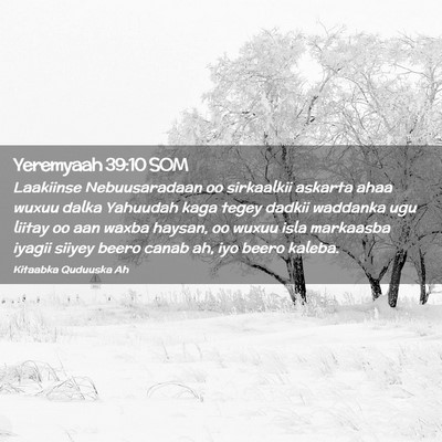 Picture 02 - Yeremyaah 39:10 SOM - Laakiinse Nebuusaradaan oo sirkaalkii askarta - Bible Verse Picture