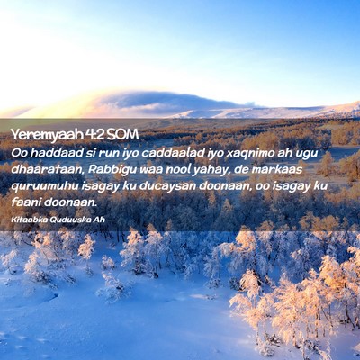 Picture 02 - Yeremyaah 4:2 SOM - Oo haddaad si run iyo caddaalad iyo xaqnimo ah - Bible Verse Picture